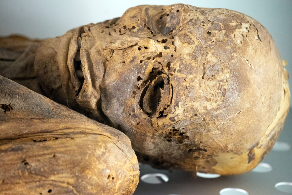 Guanche Mummies