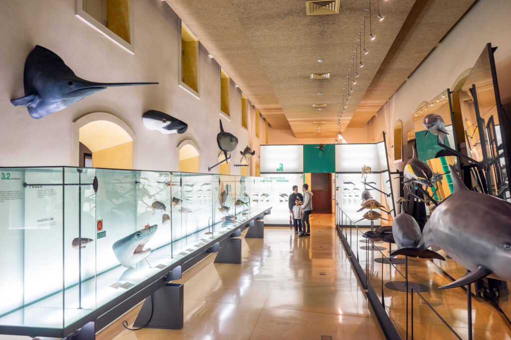 Museum of Natural Sciences and Archaeology Santa Cruz
