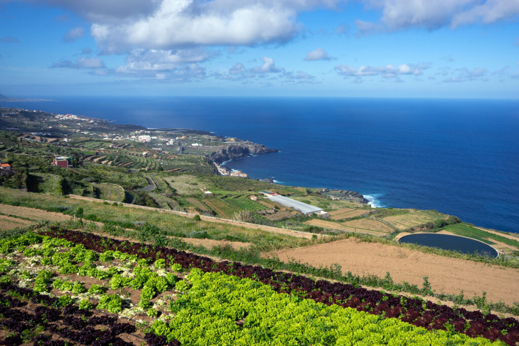 Tenerife Coast