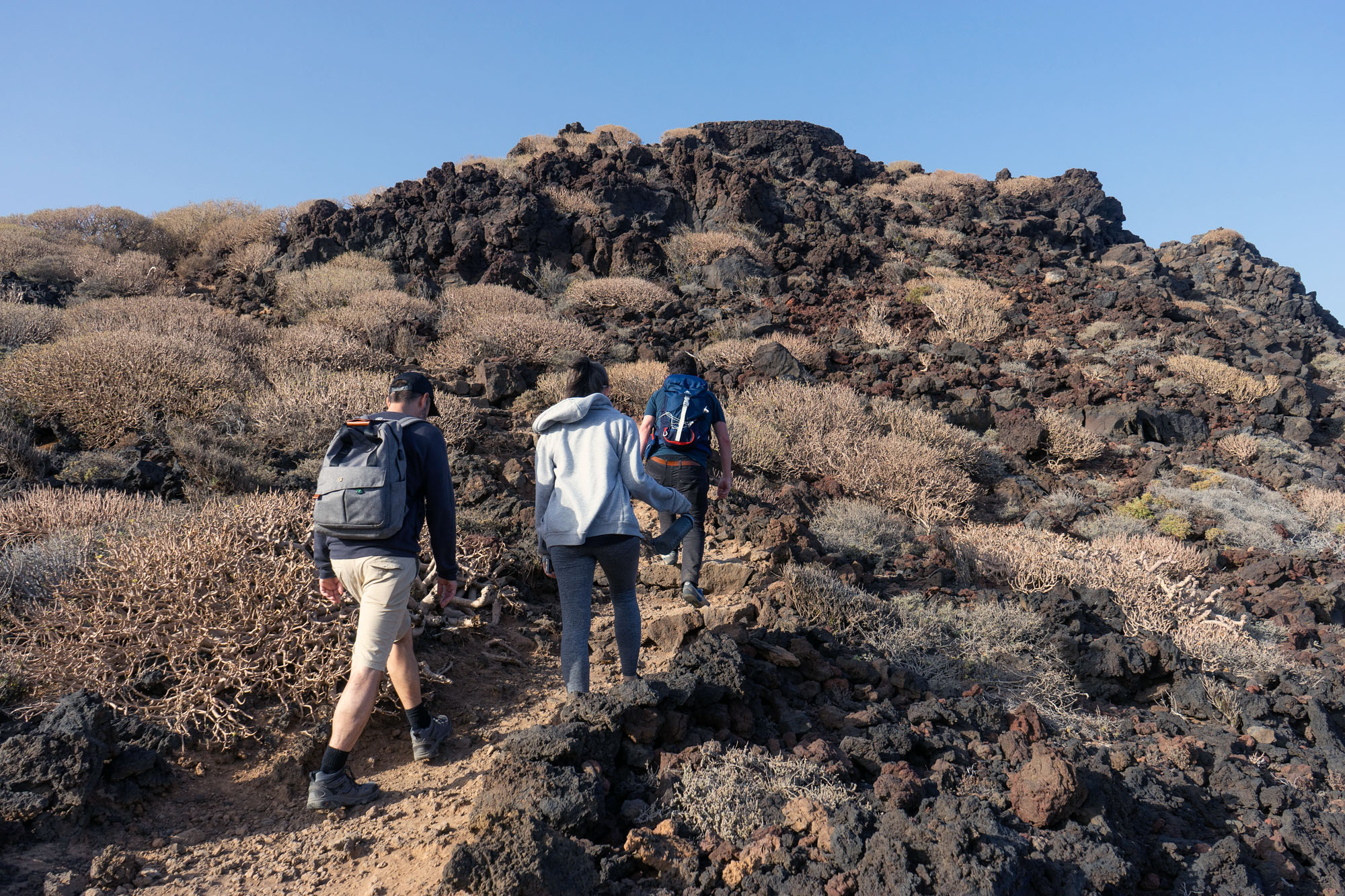 A Walk Through The Malpais De G Mar Tenerife For Days