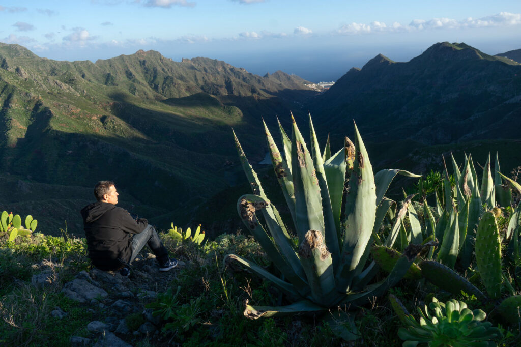 Hasta Pronto, Tenerife