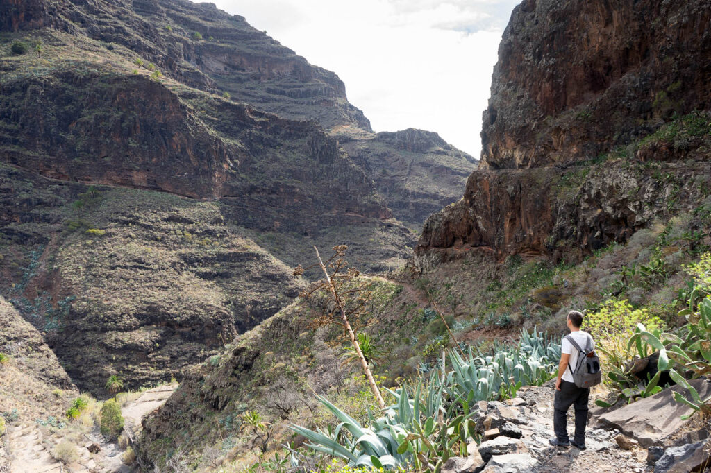 Read more about the article La Gomera Hike #1: The Imada Gorge