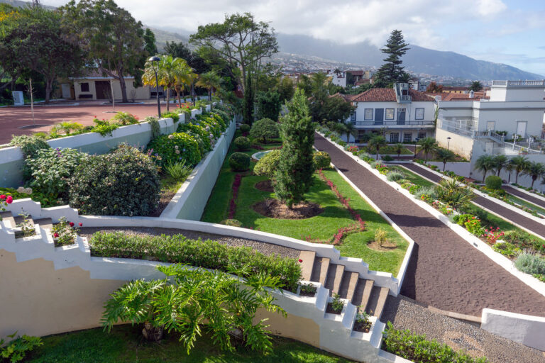 Read more about the article The Gardens of La Orotava