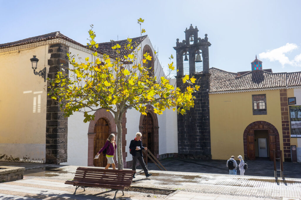 Iglesia de Santo Domingo de Guzmán