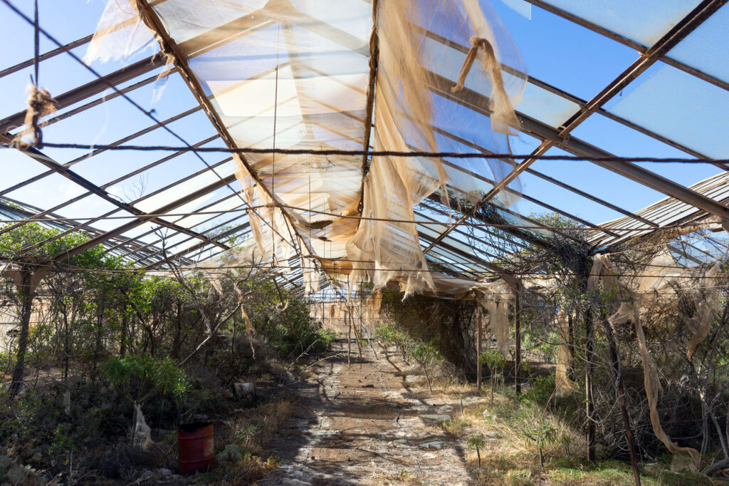 Abandoned urbex greenhouse