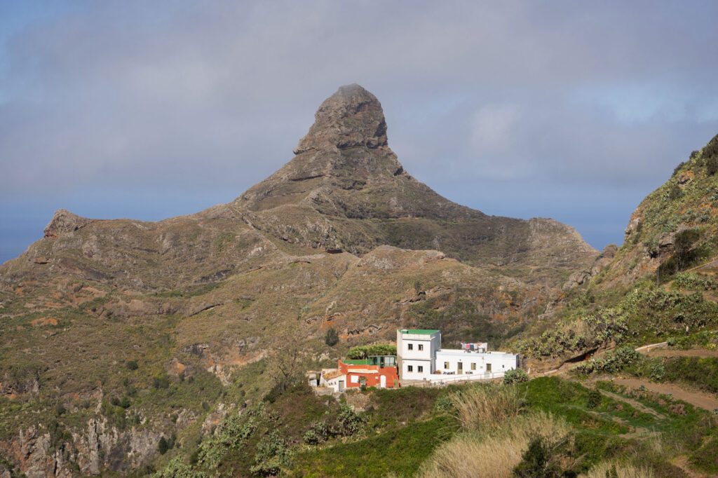Taborno Tenerife