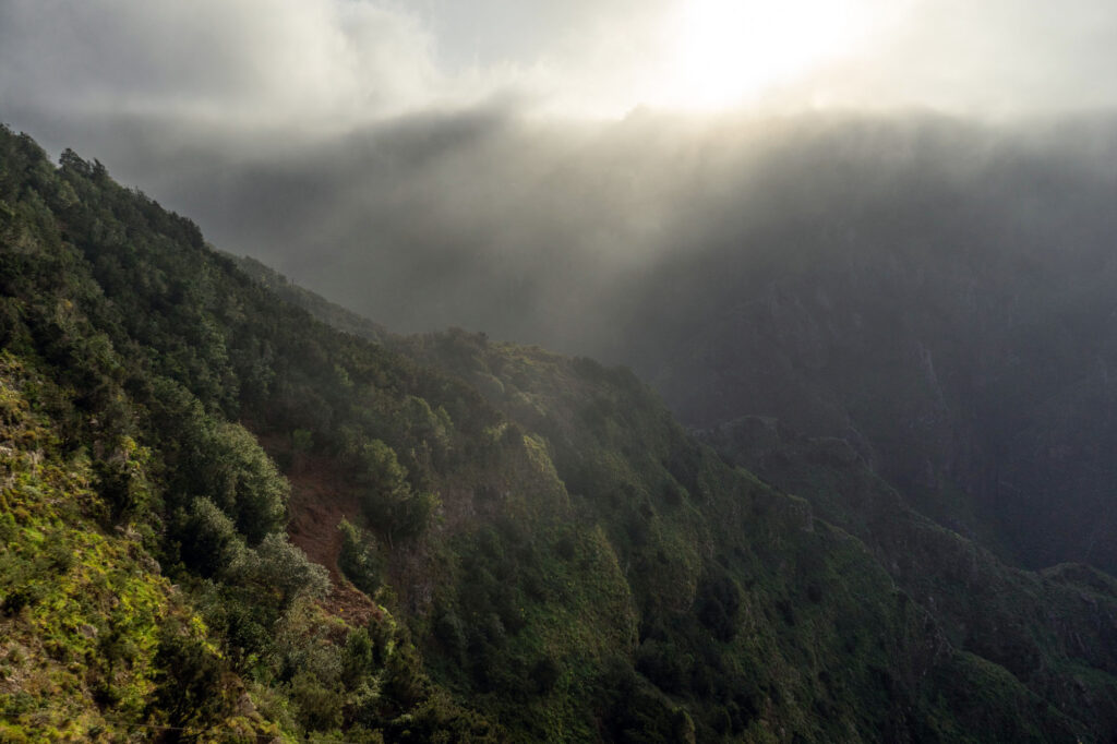 Tenerife Taborno