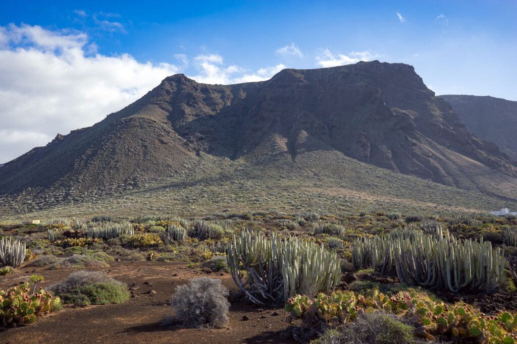 Punto de Teno Canary Islands Tenerife
