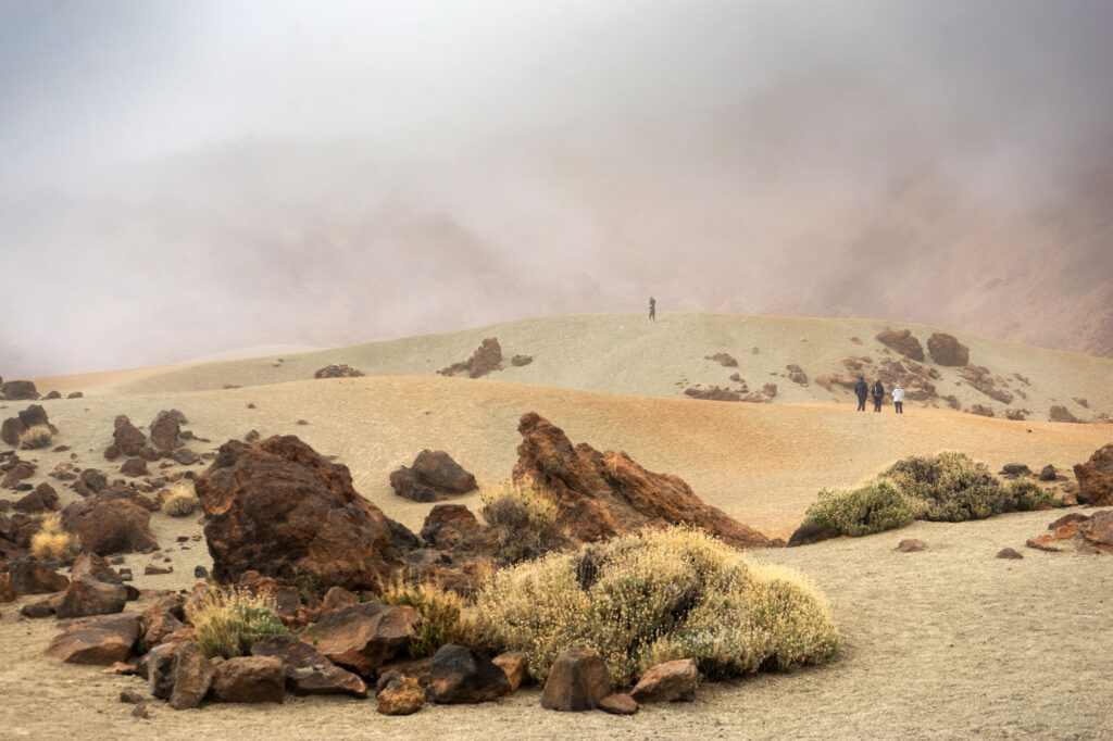 Lost in the Fog Tenerife